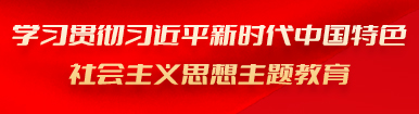 學習貫徹習近平新時代中國特色社會主義思想主題教育